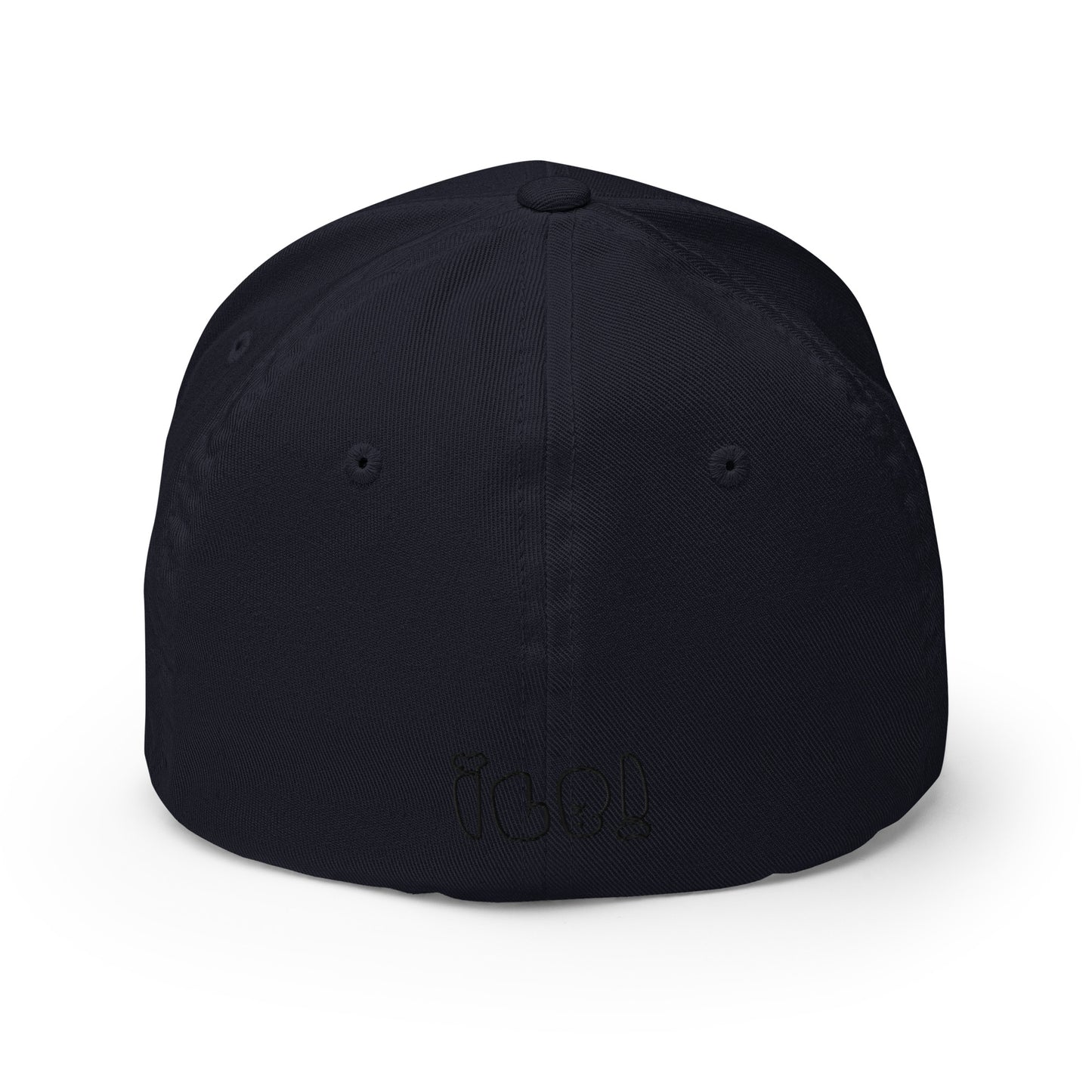 ILB Hat Dad Hat Flex Fit
