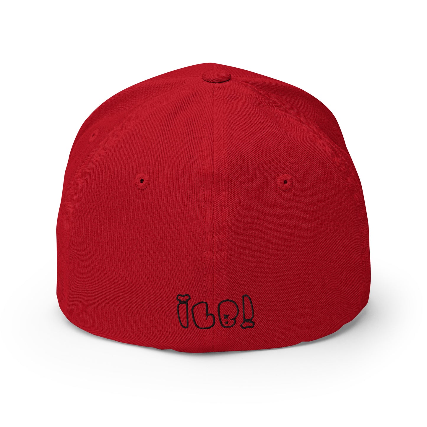 ILB Hat Dad Hat Flex Fit