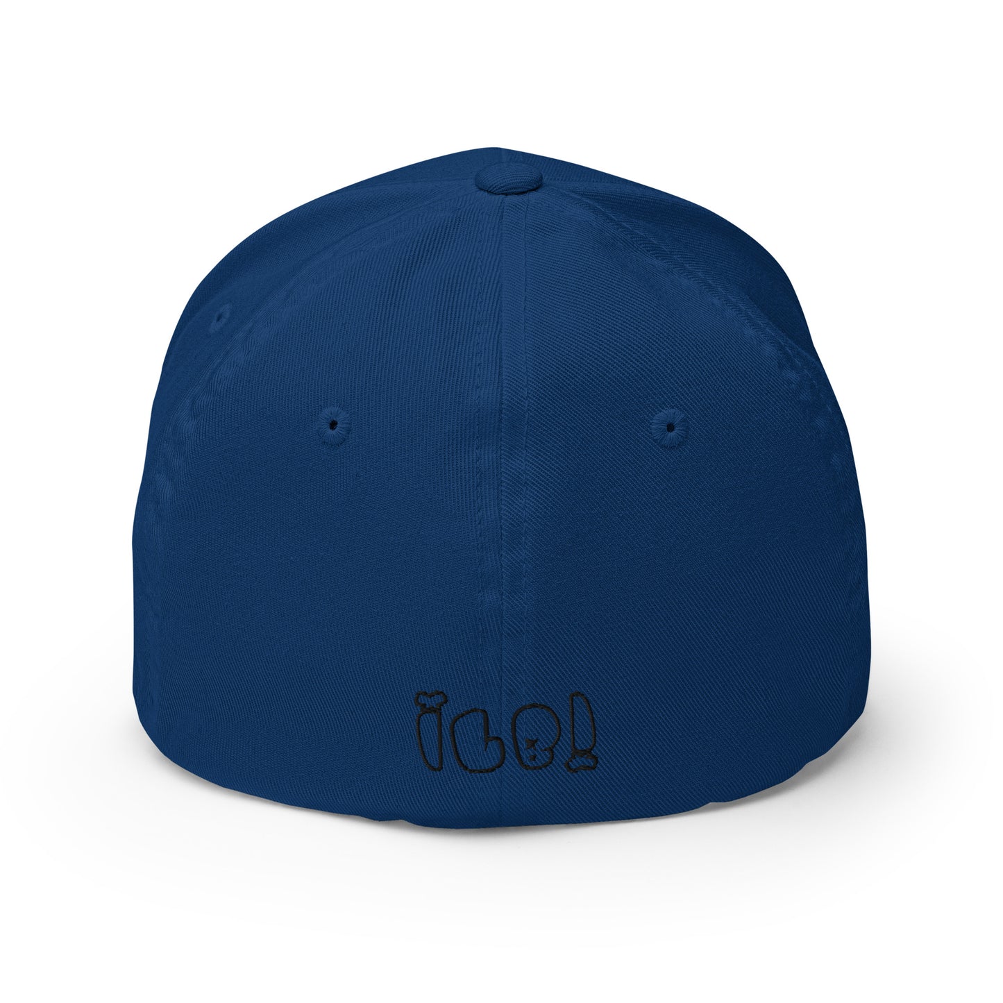 ILB Hat Dad Hat Flex Fit