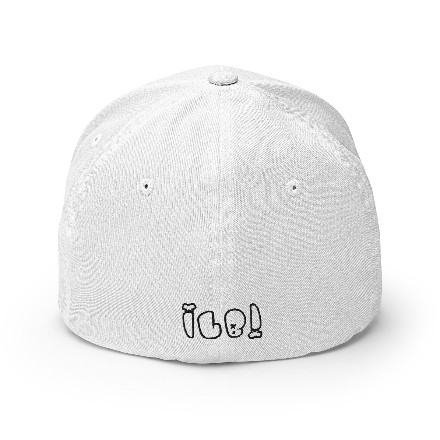 ILB Hat Dad Hat Flex Fit