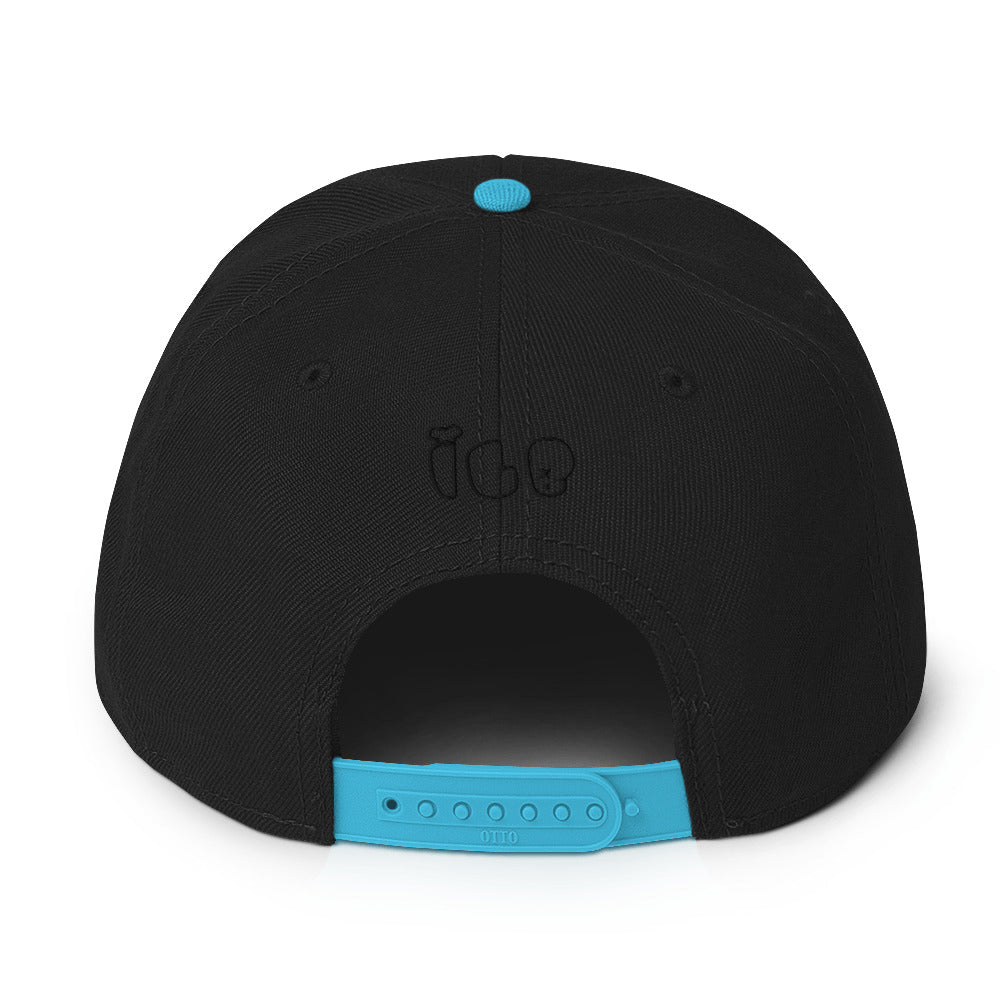 ILB Hat Snapback