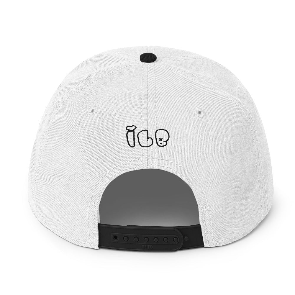 ILB Hat Snapback