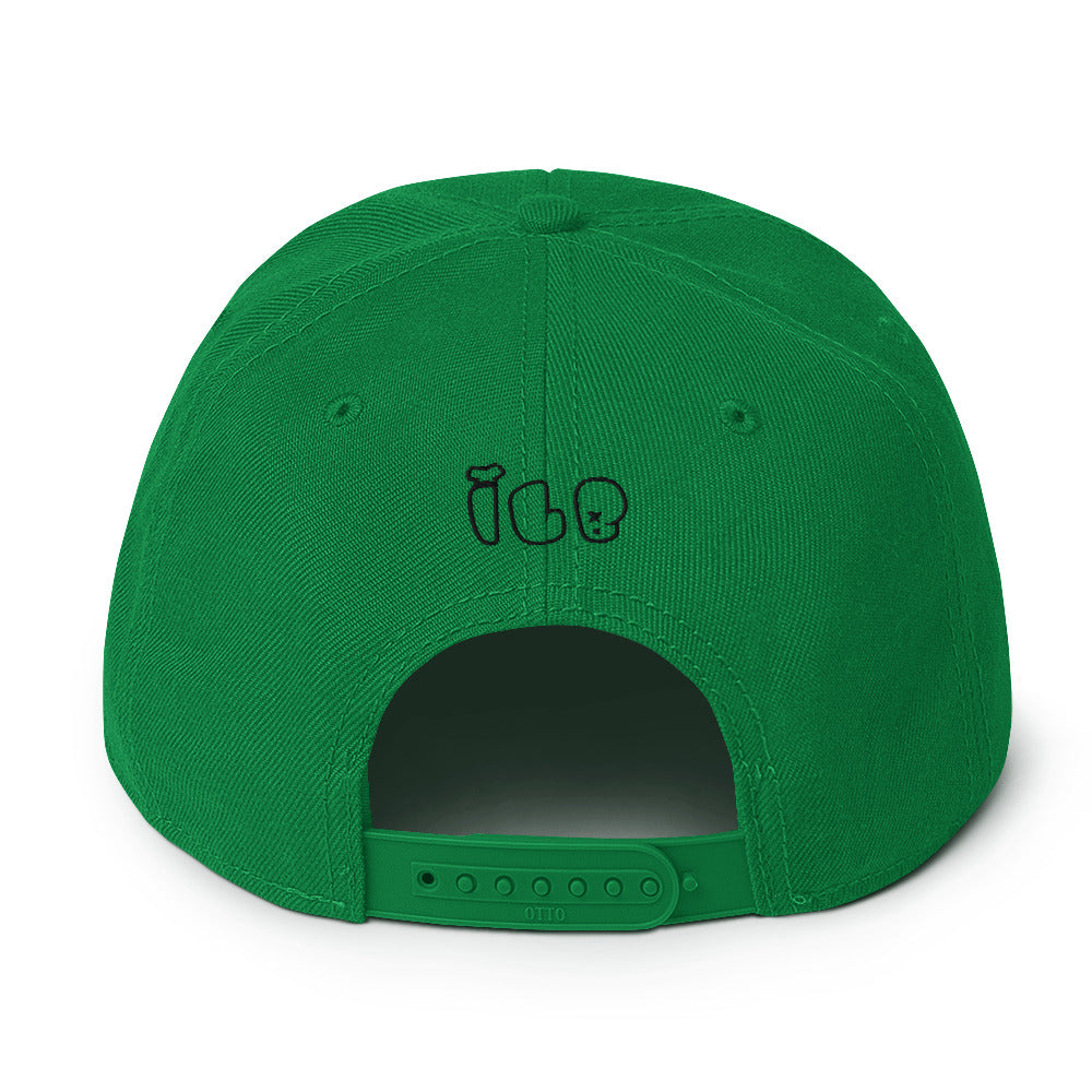 ILB Hat Snapback