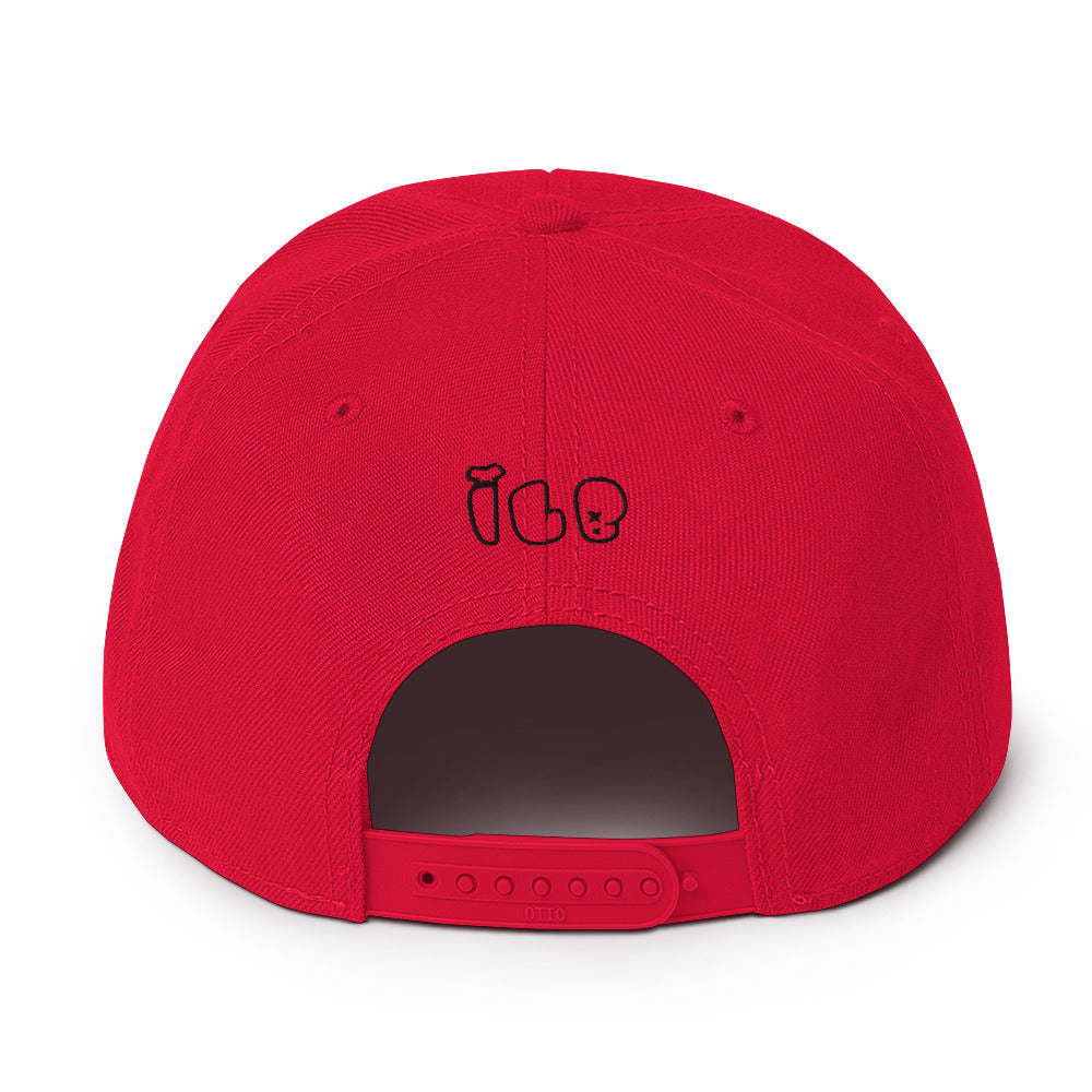 ILB Hat Snapback